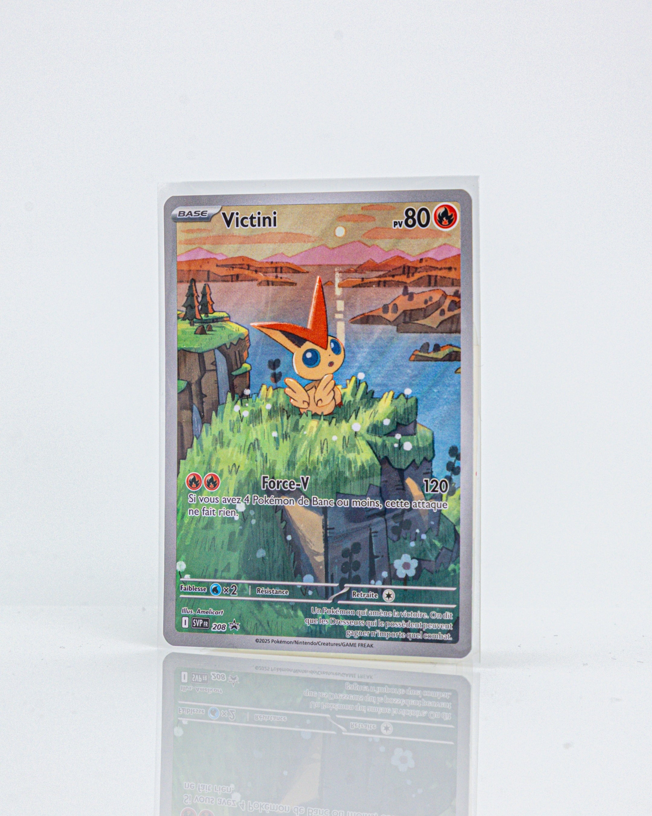 Sleeves Standard (100 pcs)